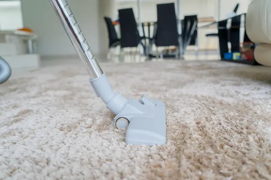 How Janitorial Services Ensure Deep Carpet Cleaning Results in Wildwood, NJ How Janitorial Services Ensure Deep Carpet Cleaning Results in Wildwood, NJ