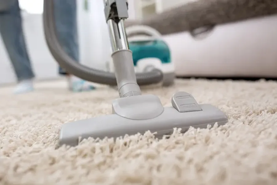 Reputable Carpet Cleaning Wildwood, NJ Reputable Carpet Cleaning Wildwood, NJ