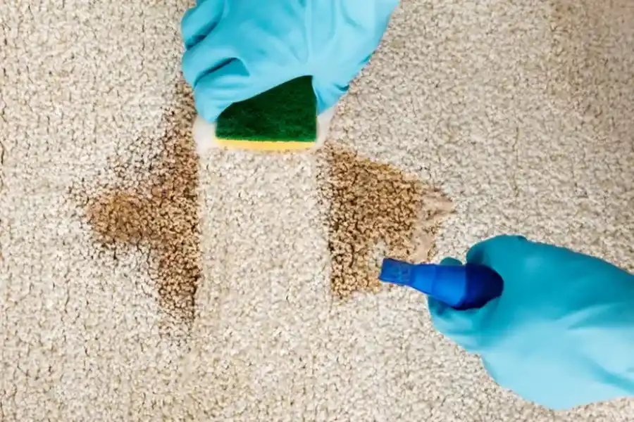 The Role Of Janitorial Services In Carpet Maintenance Wildwood, NJ
